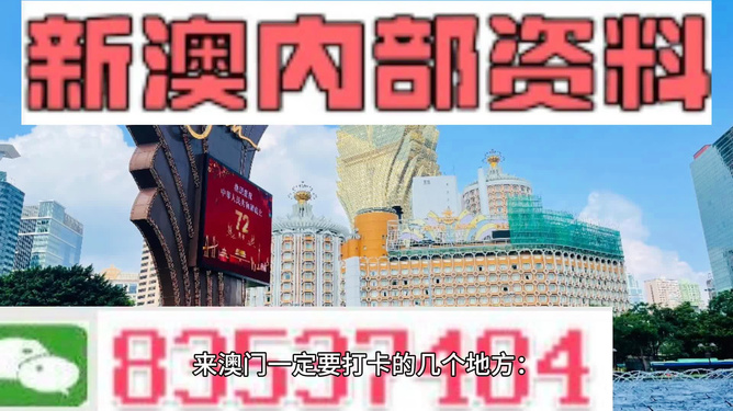 新澳门最精准免费大全2025，实用释义与解释落实