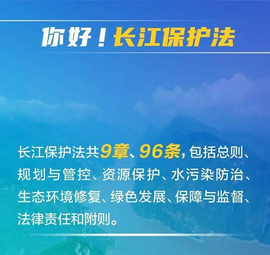 新澳门今晚必中一肖一特，全面释义解释与落实展望